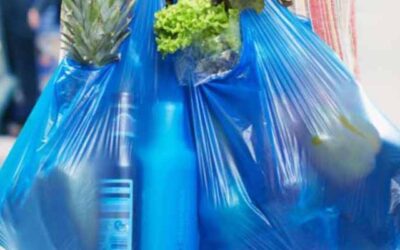 Engel Focuses On Banning Bags As Small Businesses Go Begging