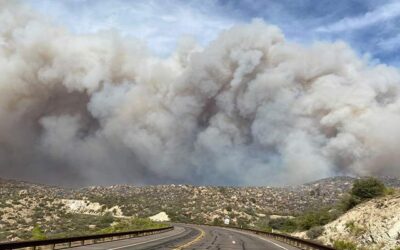 Ducey Calls Special Session To Address Wildfire Funding As State Budget Remains In Doubt