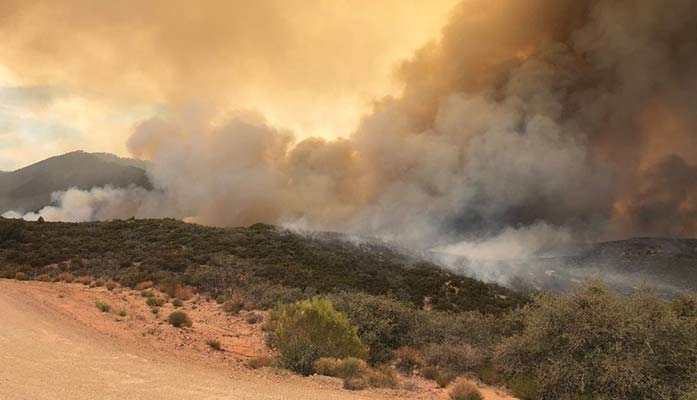 Special Session Bill To Fund Statewide Fire Suppression And Mitigation Passes Out of Joint Committee