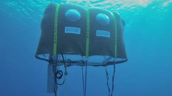 Professor’s Underwater Tent Invention To Appear On Shark Week