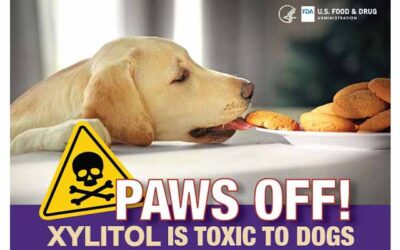 Paws Off Act Will Save Lives Of Dogs From Poison Risk In Common Items