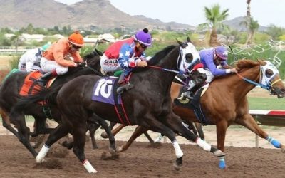 Turf Paradise Continues Court Battle For Sports Wagering License