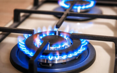 Lawmakers Must Put a Stop to Any Bans on Gas Stoves