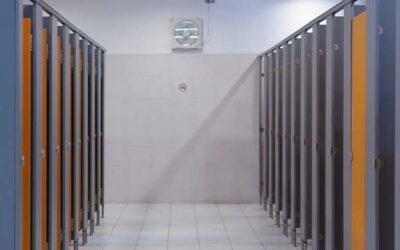 Hobbs Vetoes Bill Aimed At Protecting Girls From Men In Bathrooms, Locker Rooms