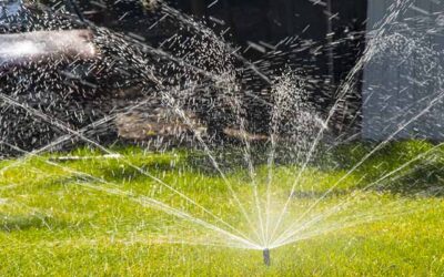 Water Conservation Has Taxpayers Paying More For Less In Cities Across The State