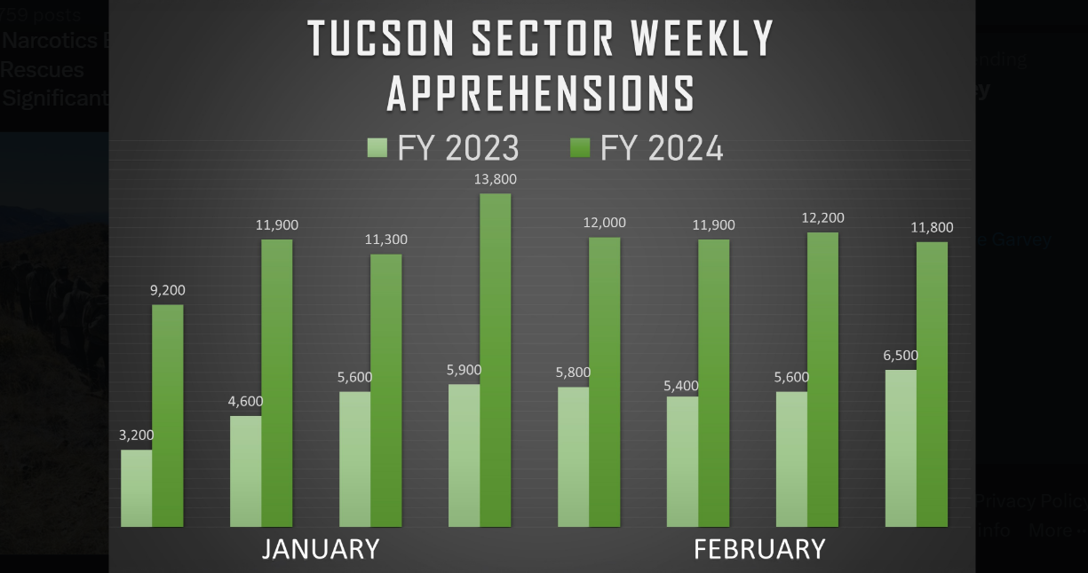 crossings illegal border crossings