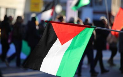 Survey: Majority Of College Students Support Pro-Hamas Protests