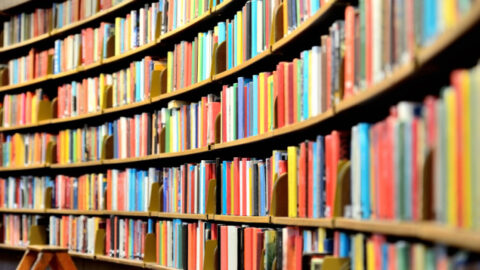 Arizona Mother Questions Why Phoenix Library Read Underwear-Themed Book ...