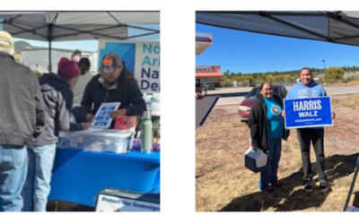 Photos Show Northern AZ Democrats Helping Members Of Navajo Community Fill Out Their Ballots
