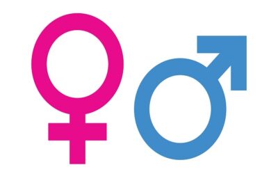 Arizona Legislature Passes Bill Defining Biological Sexes