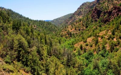 Rep. Crane’s Bill Would Replace Terminated DEI Hires At Land Management Agencies With Veterans