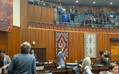 Arizona House Democrats Use Disabled Children For Emotional Appeal