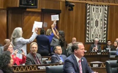 Arizona Democrat Lawmakers Abruptly Walk Out During Border Czar’s Speech