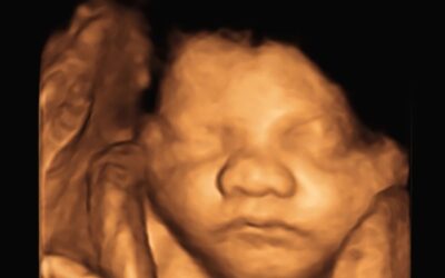 The Devil’s Brief: The Abortion Industry Vs. Arizona’s Preborn Children