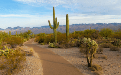 AZFEC: The Trump Administration’s Proposed Repeal Of The ‘Endangerment Finding’ Will Bring Sanity Back To The Climate Debate