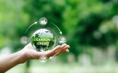 Carbon Credit Scheme Linked To Former AZ Democratic Chairman Leads To Partner’s Conviction