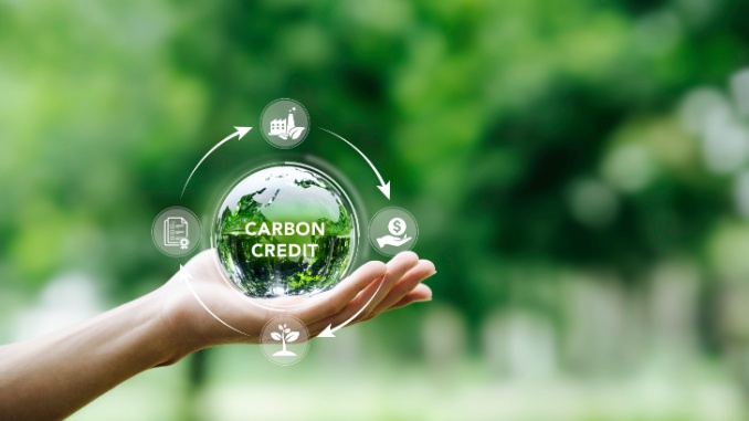 carbon credit