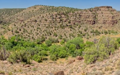 ALEXANDER KOLODIN: Part 2 Of 4 – Lack Of Private Property Rights Is Sucking Rural Arizona Dry