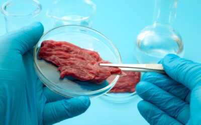 House Passes Bill Requiring Disclosures For Lab-Grown Meat
