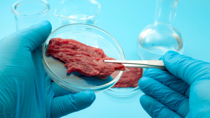 lab-grown meat