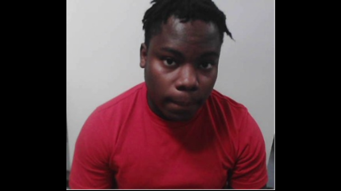 ICE Arrests Haitian National Facing Child Porn Charges After Biden-Era Border Release In Arizona