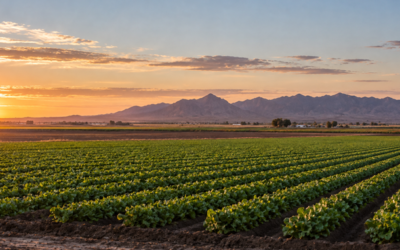 YENDI PARKER: After Years Of Complaints, Yuma’s Biosolids Fight Finally Brings State Action