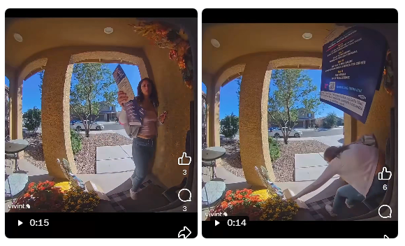 porch pirate