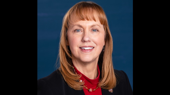Rep. Selina Bliss Named Hospital Association’s Legislator Of The Year For Work On Child Abuse Reporting Law